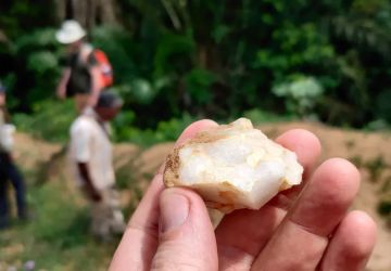 Primeiros humanos viveram em florestas tropicais há 150 mil anos, diz estudo